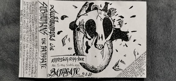 Subhumans - Live Bathgate